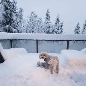 Meet your Posher, Kathi